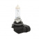   HB4(9006) MTF Light DYNAMIC BLUE 12V